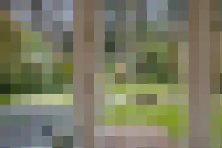 Bosbouwkamp 29 Vledder thumbnail 8