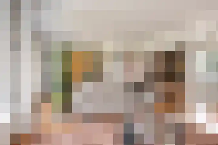 Bosbouwkamp 29 Vledder thumbnail 9