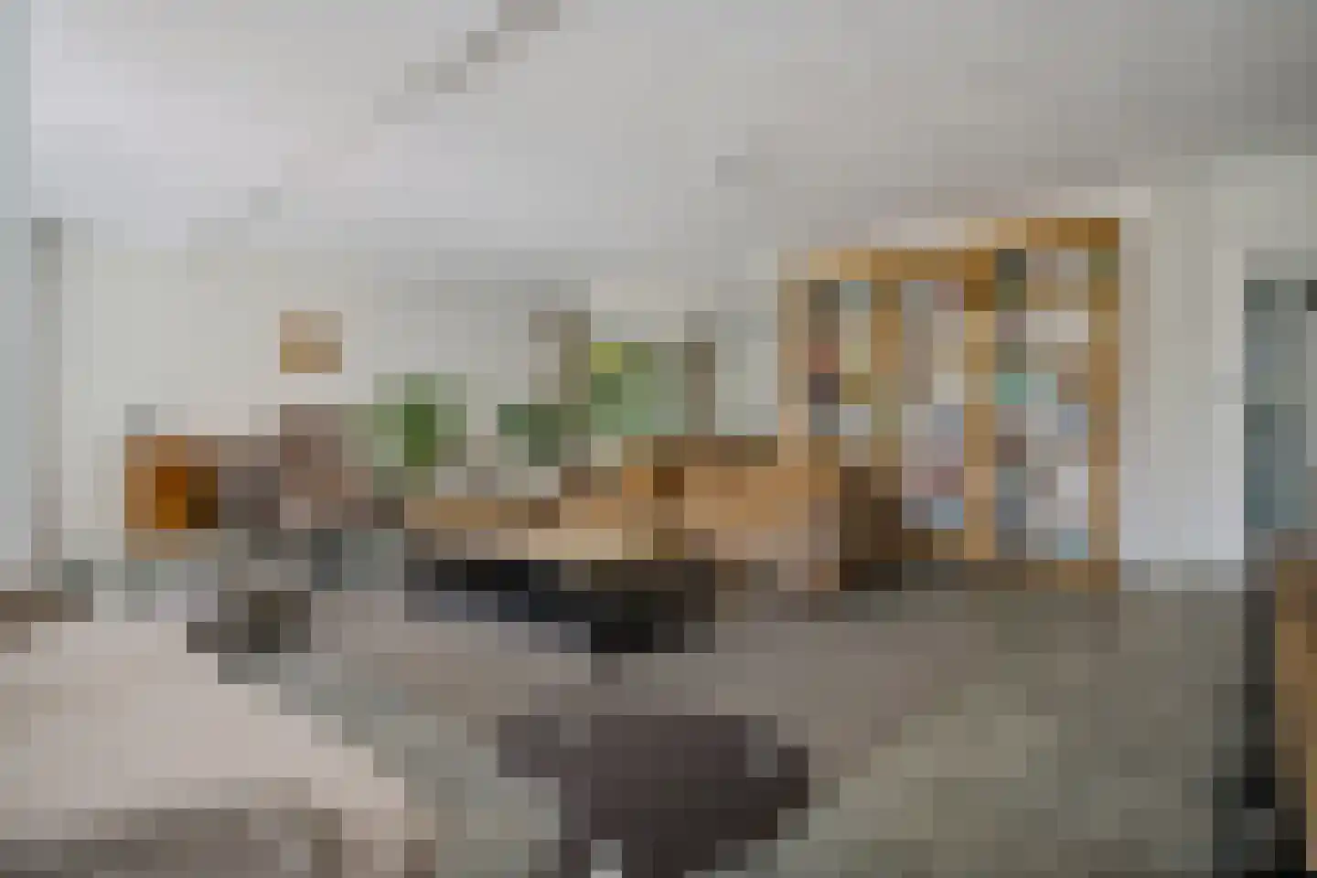 Bosbouwkamp 51 Vledder thumbnail 10