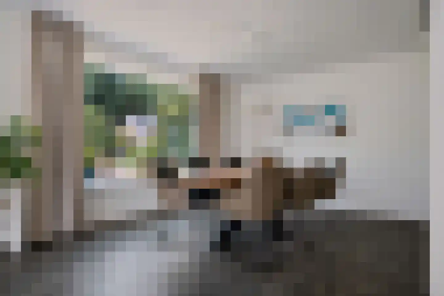 Bosbouwkamp 51 Vledder thumbnail 11