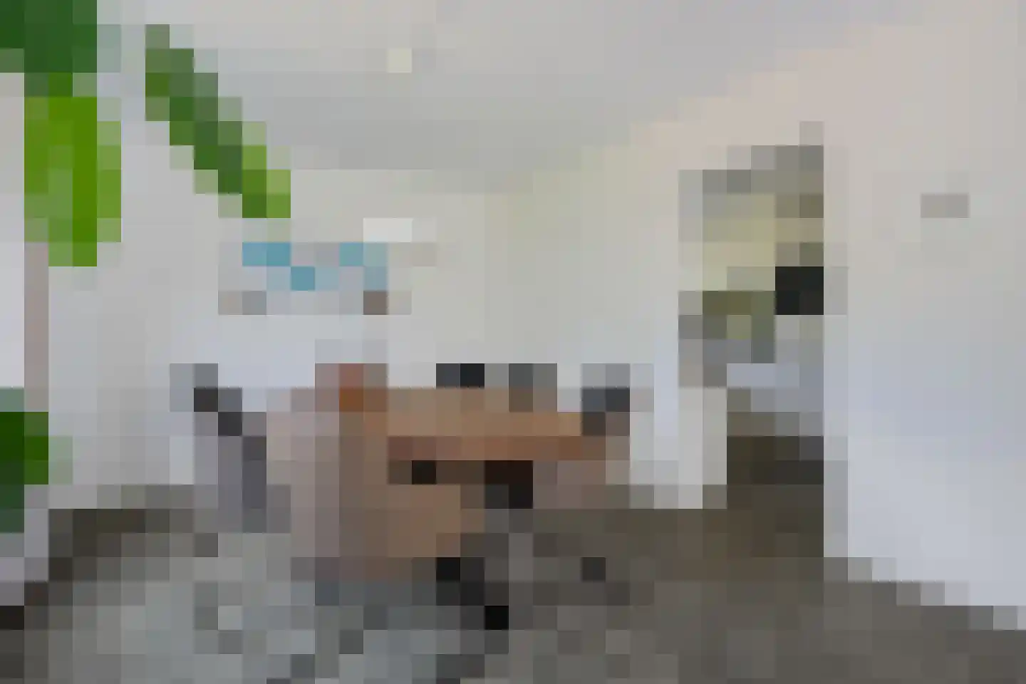 Bosbouwkamp 51 Vledder thumbnail 13