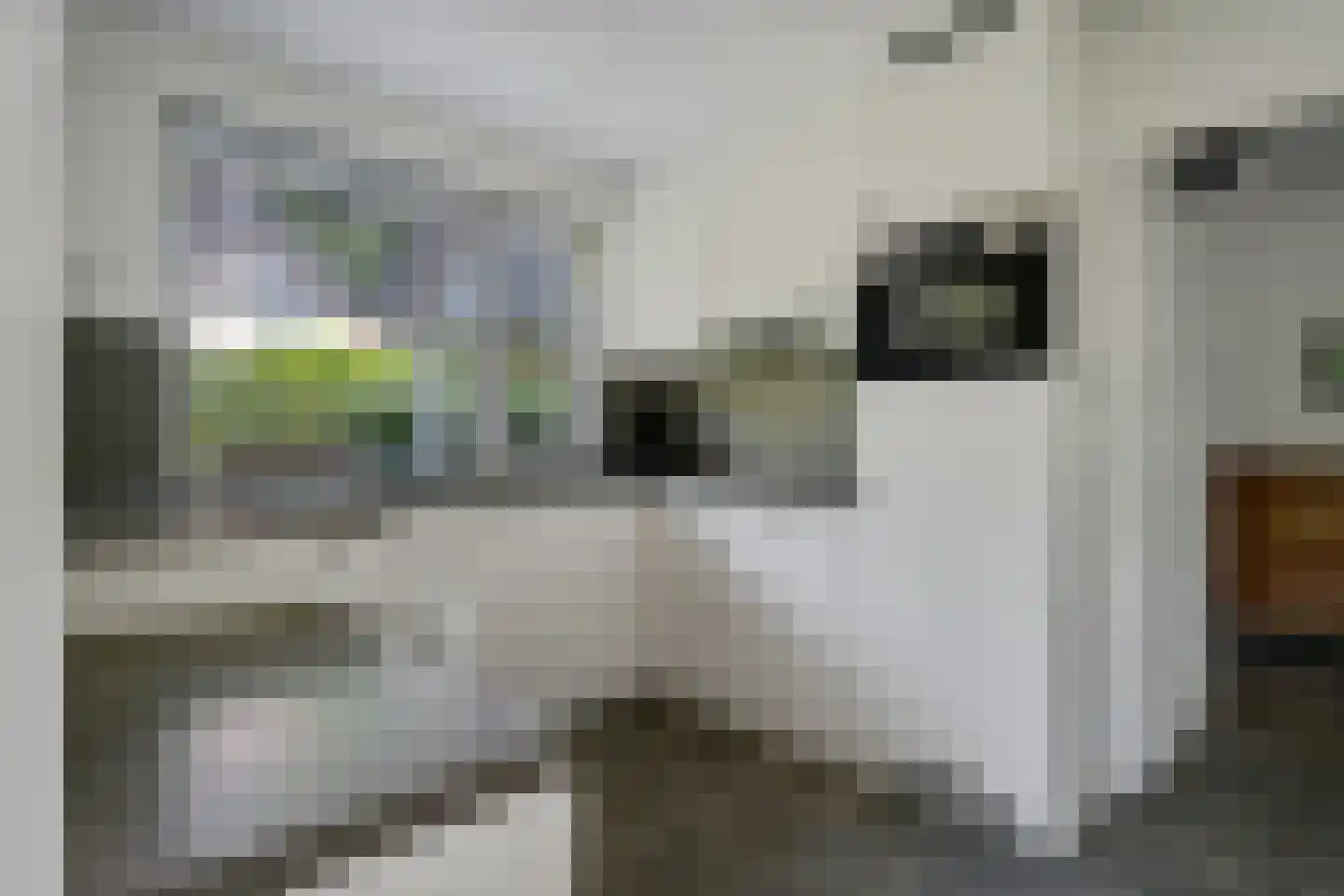 Bosbouwkamp 51 Vledder thumbnail 14