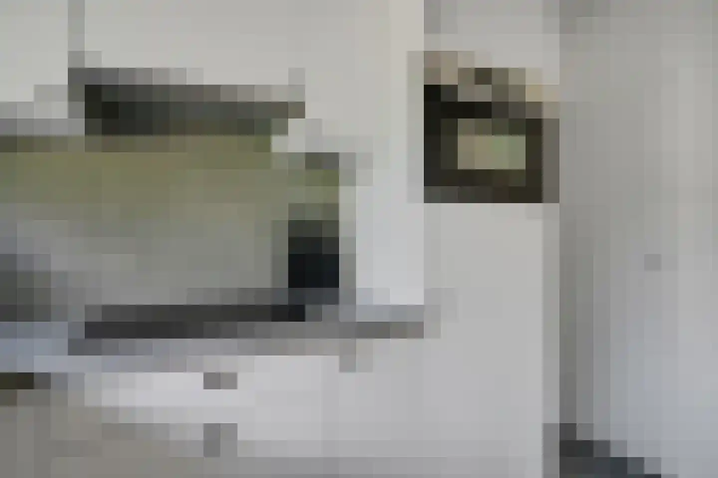 Bosbouwkamp 51 Vledder thumbnail 16