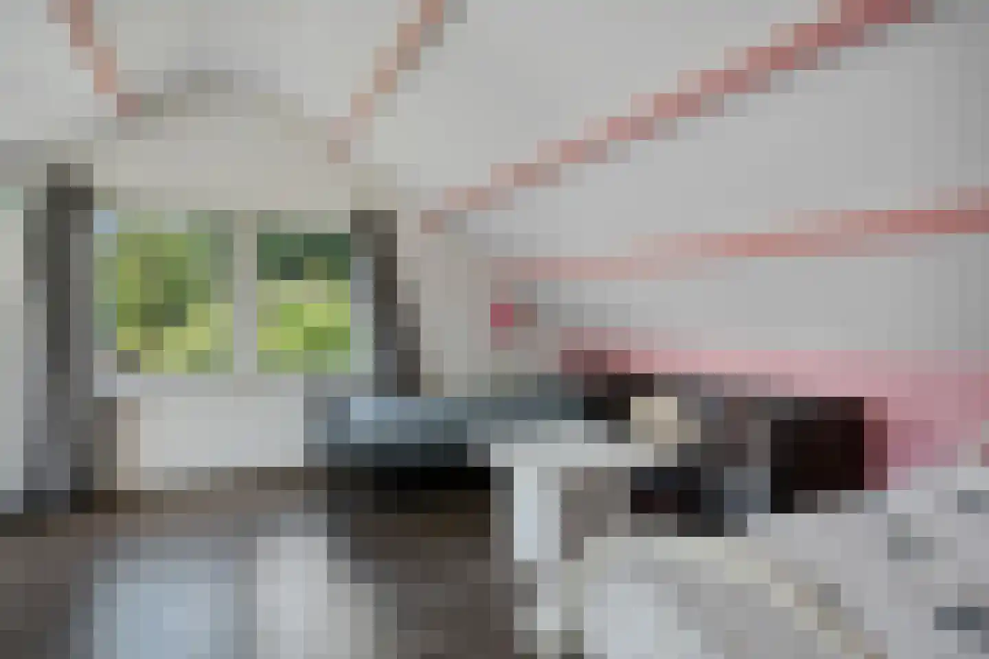 Bosbouwkamp 51 Vledder thumbnail 28