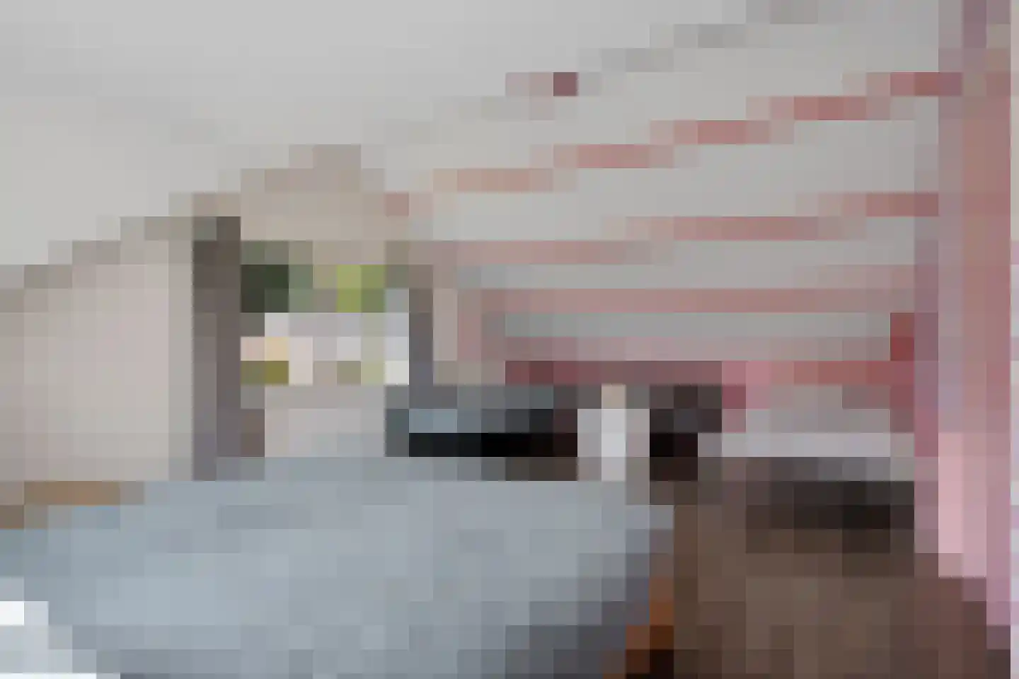 Bosbouwkamp 51 Vledder thumbnail 30