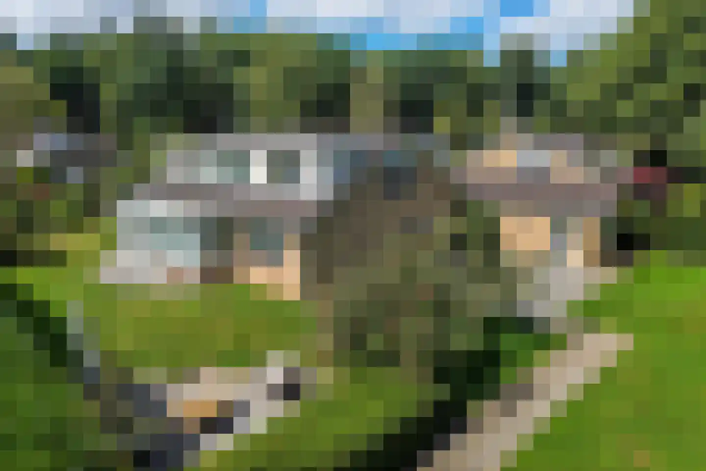 Bosbouwkamp 51 Vledder thumbnail 37