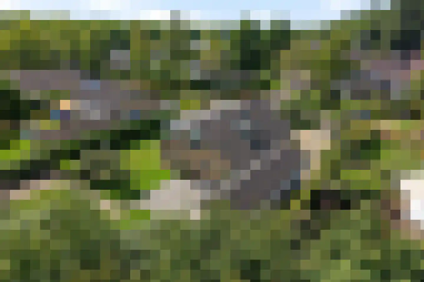 Bosbouwkamp 51 Vledder thumbnail 39