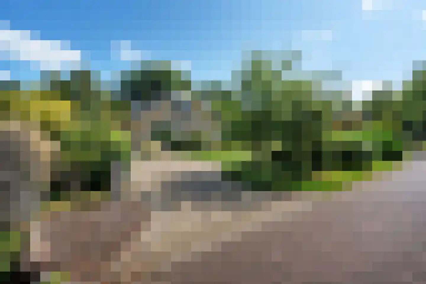 Bosbouwkamp 51 Vledder thumbnail 40