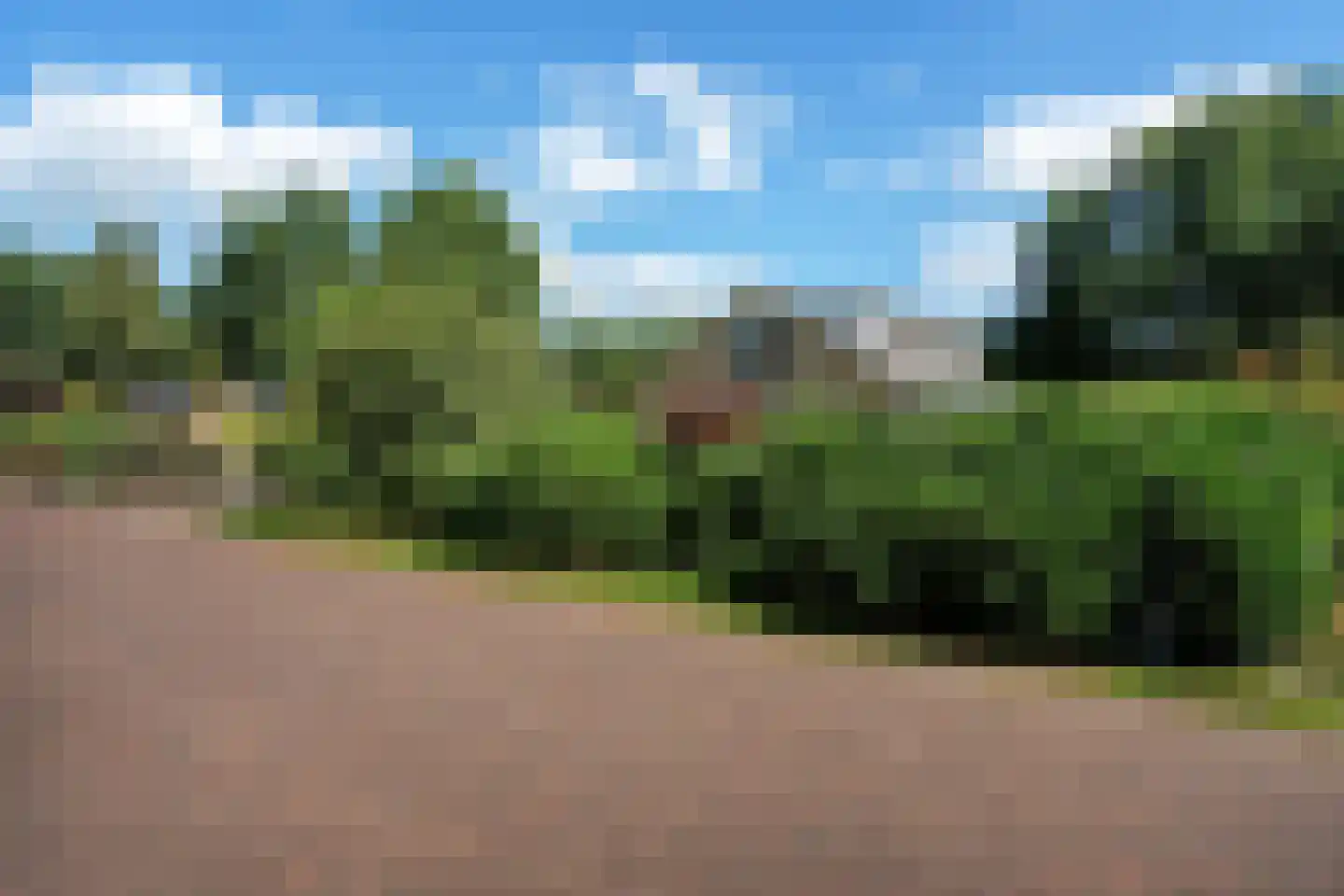 Bosbouwkamp 51 Vledder thumbnail 41