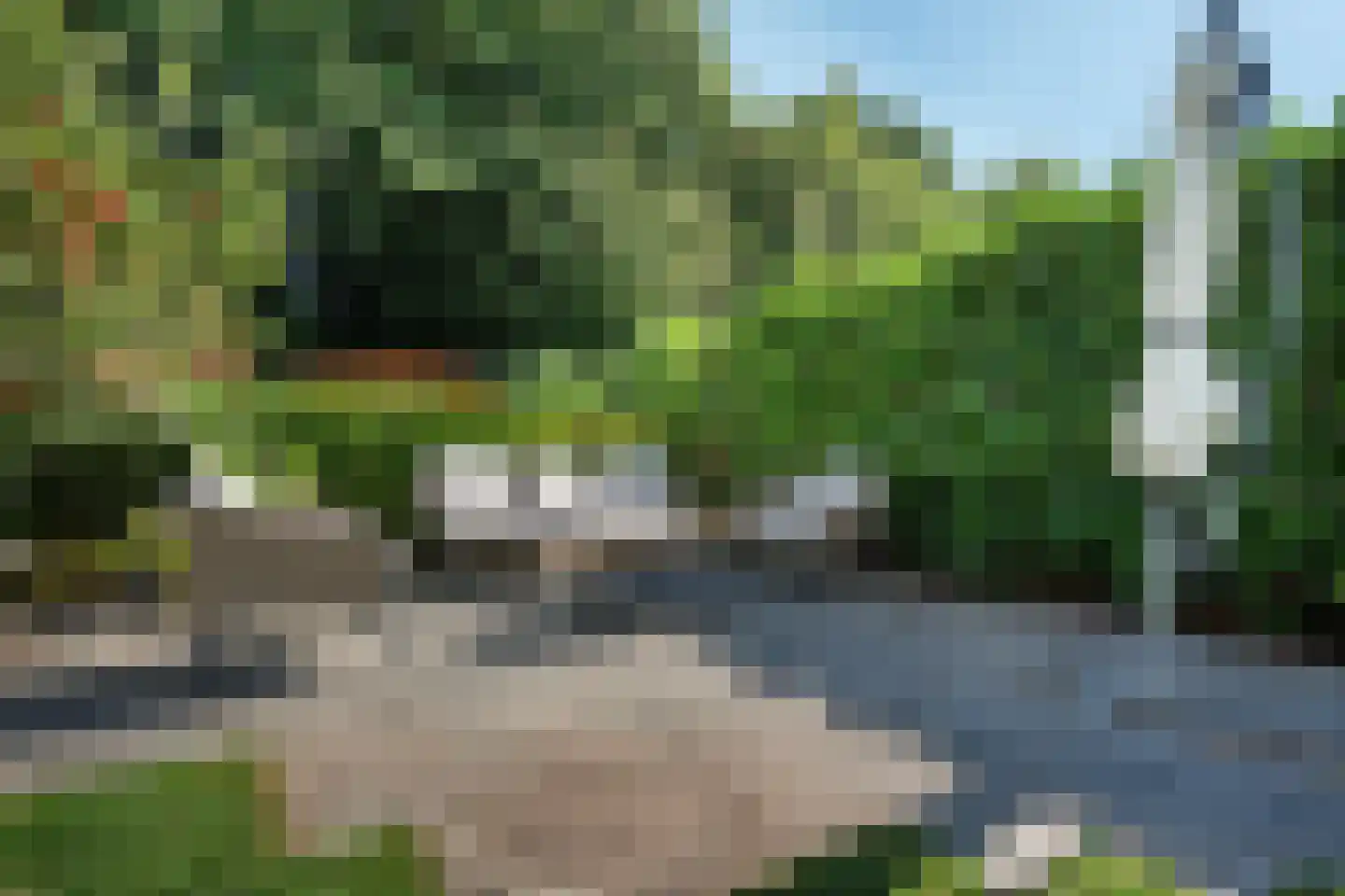 Bosbouwkamp 51 Vledder thumbnail 48
