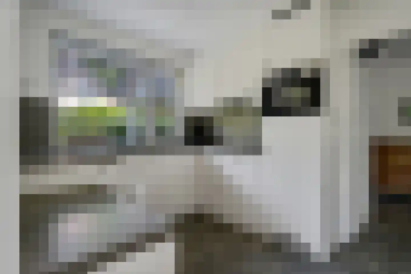 Bosbouwkamp 51 Vledder thumbnail 5