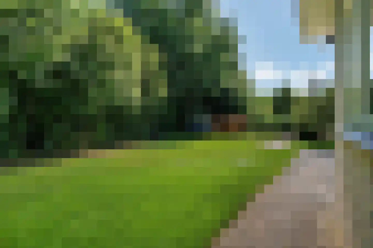 Bosbouwkamp 51 Vledder thumbnail 52