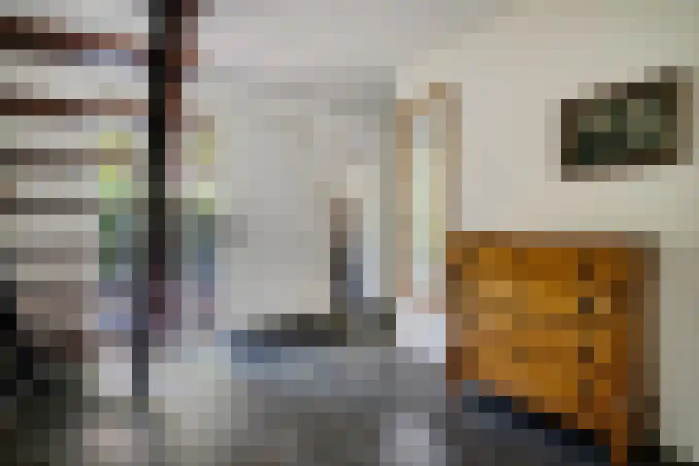 Bosbouwkamp 51 Vledder thumbnail 6