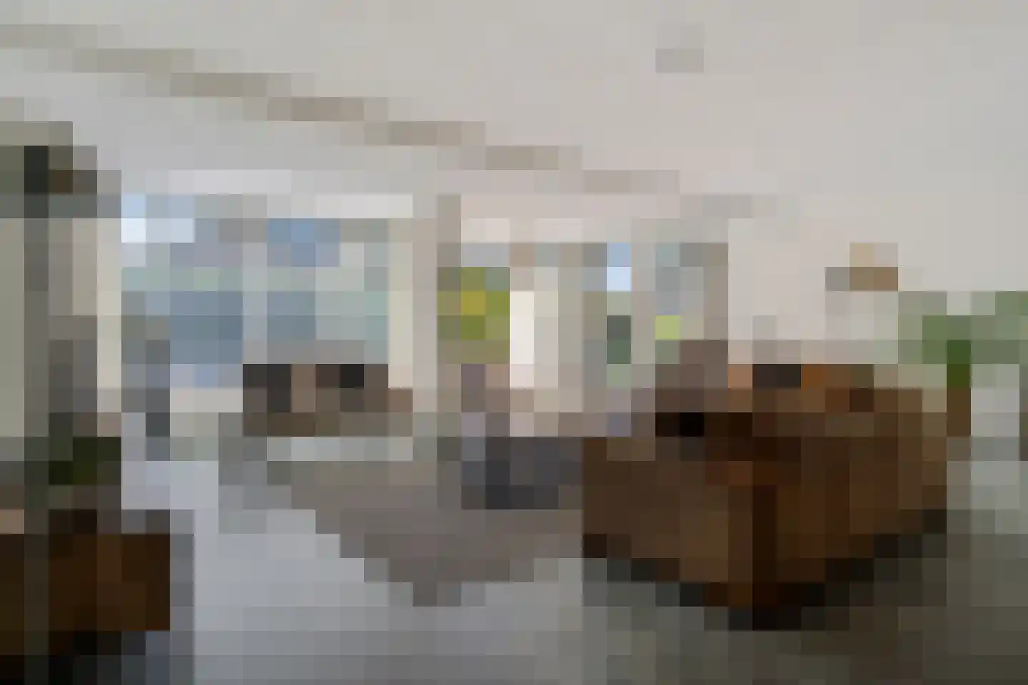 Bosbouwkamp 51 Vledder thumbnail 7
