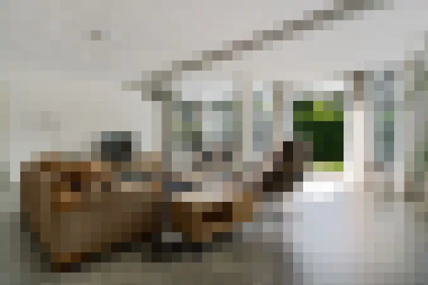 Bosbouwkamp 51 Vledder thumbnail 8