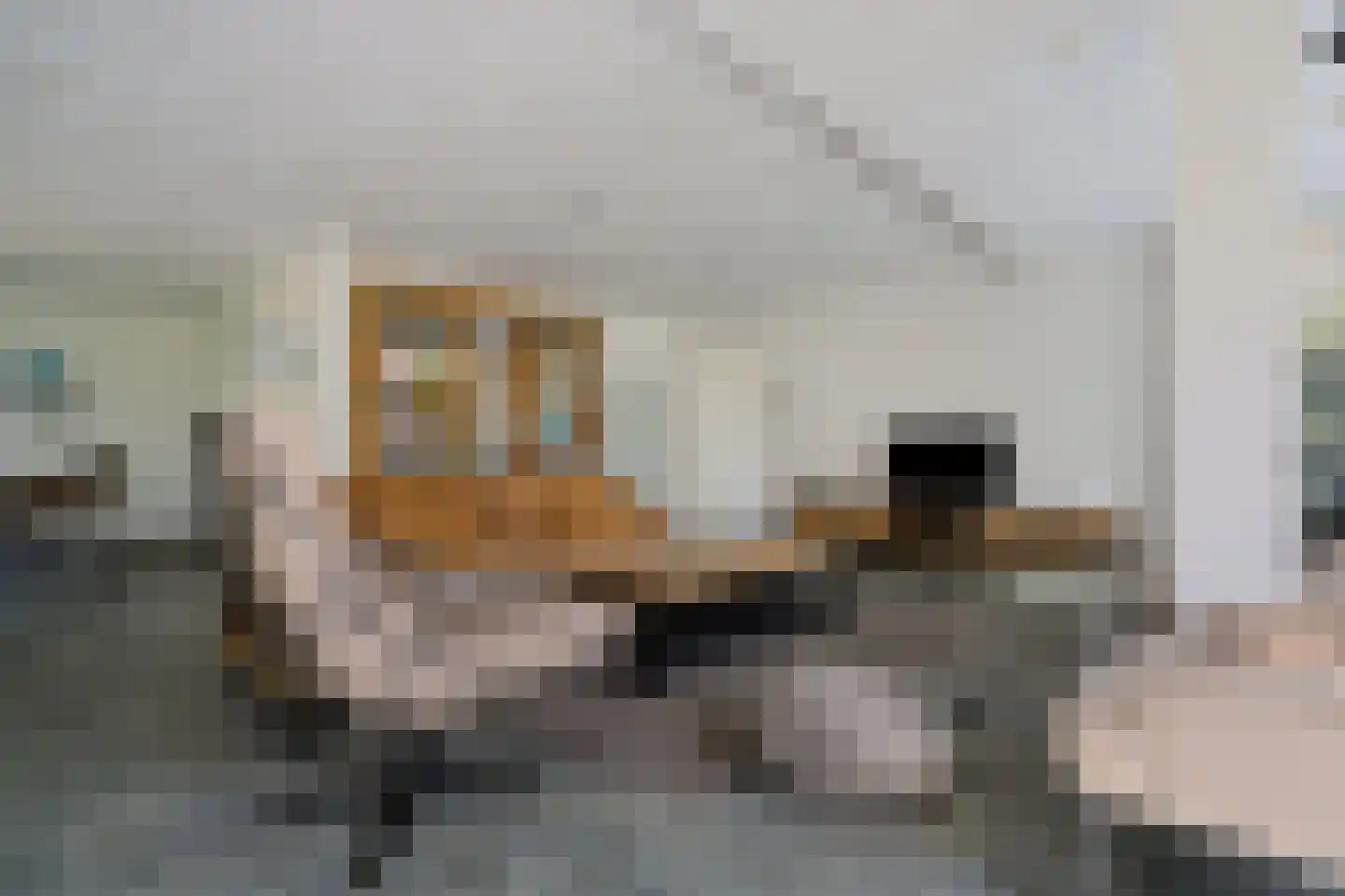 Bosbouwkamp 51 Vledder thumbnail 9