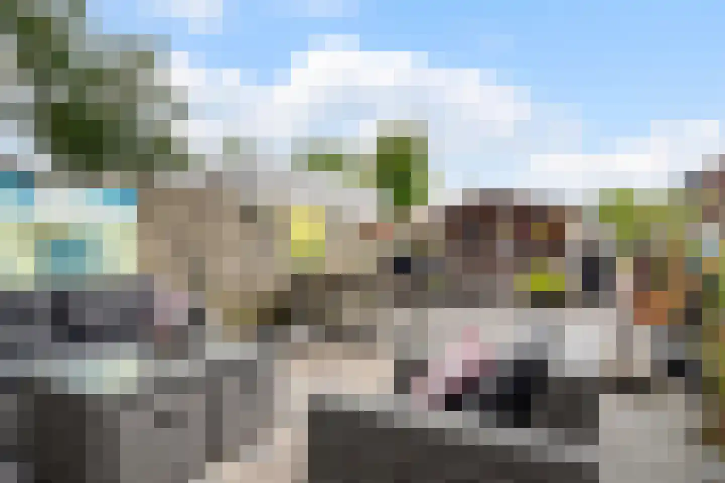 Bosbraakhof 29 Amsterdam thumbnail 30
