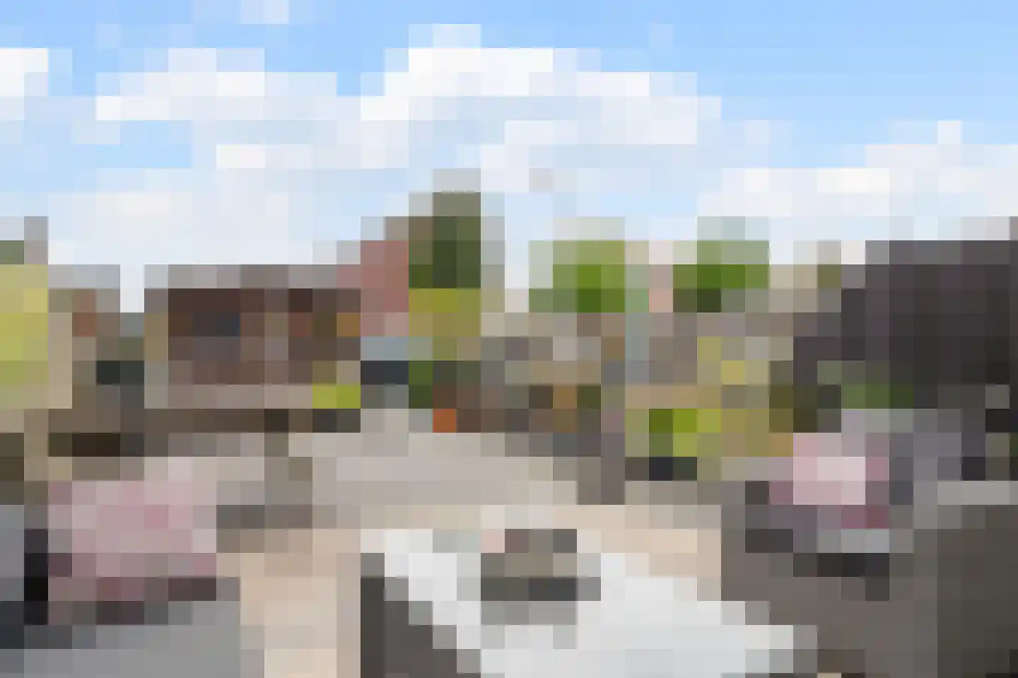 Bosbraakhof 29 Amsterdam thumbnail 5