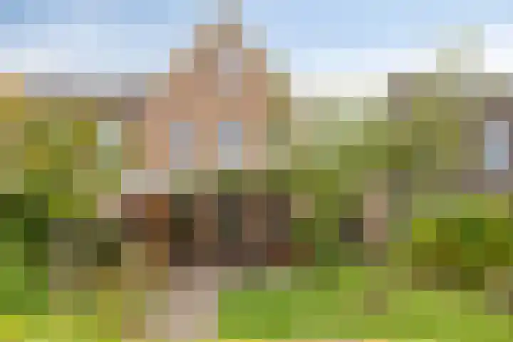 Bosbraam 16 Assen thumbnail 44