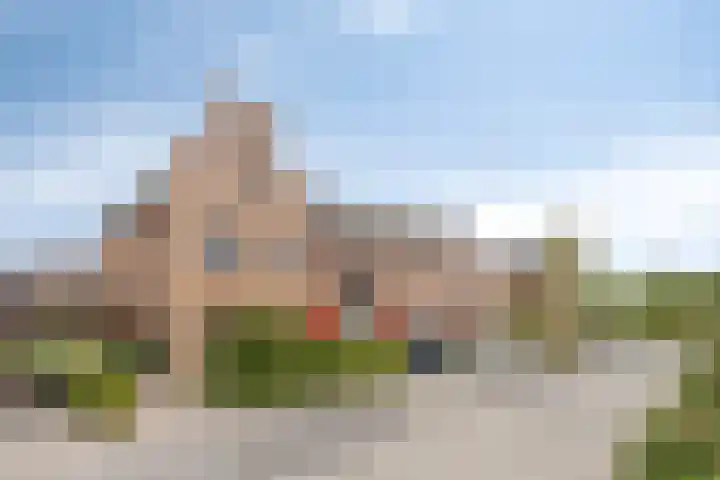 Bosbraam 16 Assen thumbnail 45