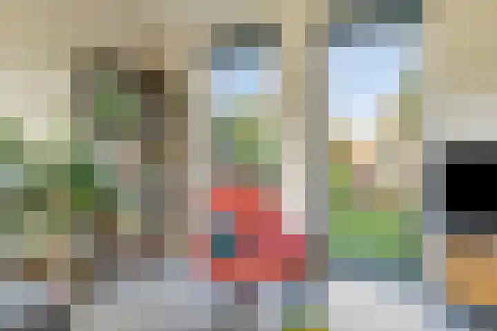 Bosbraam 16 Assen thumbnail 9