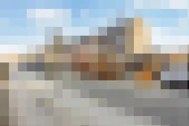 Bosbraam 18 Assen thumbnail 11