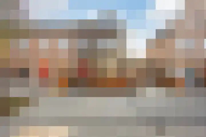 Bosbraam 18 Assen thumbnail 12