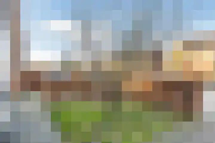 Bosbraam 18 Assen thumbnail 15