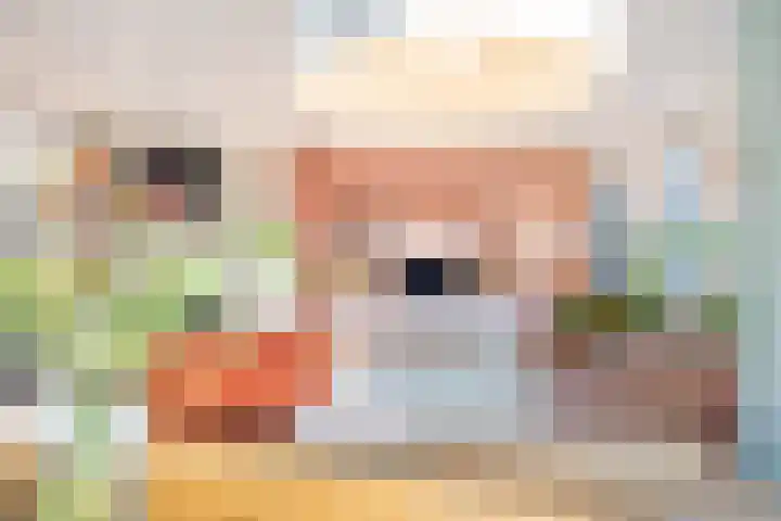 Bosbraam 18 Assen thumbnail 25