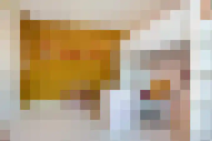 Bosbraam 18 Assen thumbnail 36