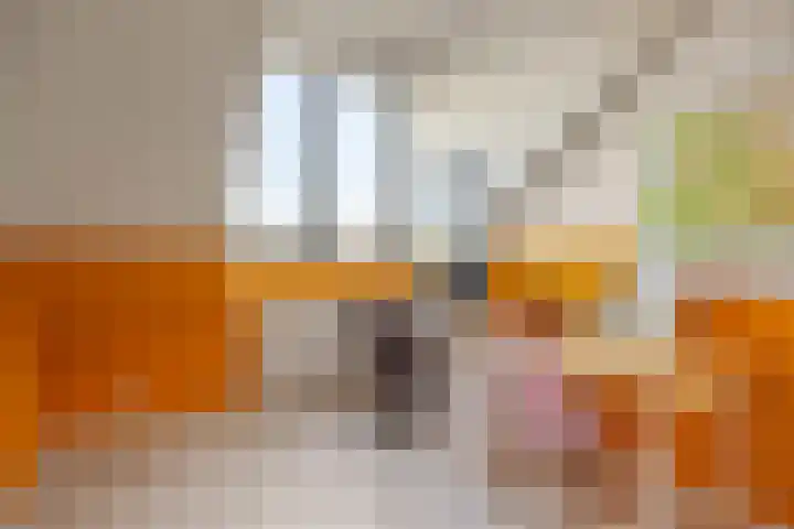 Bosbraam 18 Assen thumbnail 46