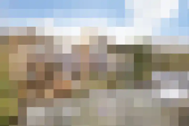 Bosbraam 18 Assen thumbnail 54