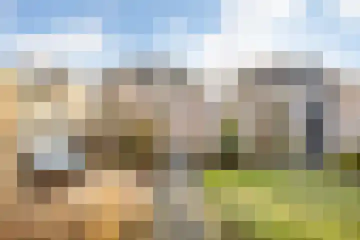Bosbraam 18 Assen thumbnail 55