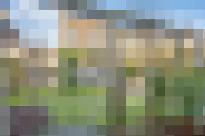 Bosbraam 18 Assen thumbnail 57