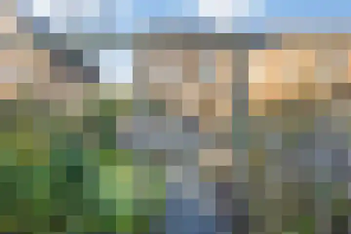 Bosbraam 18 Assen thumbnail 59