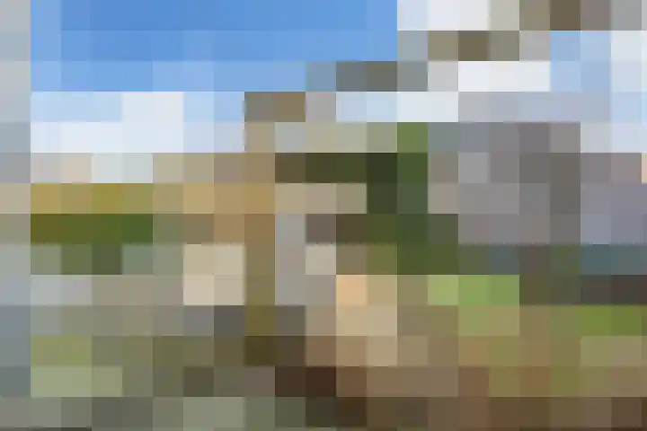 Bosbraam 18 Assen thumbnail 60