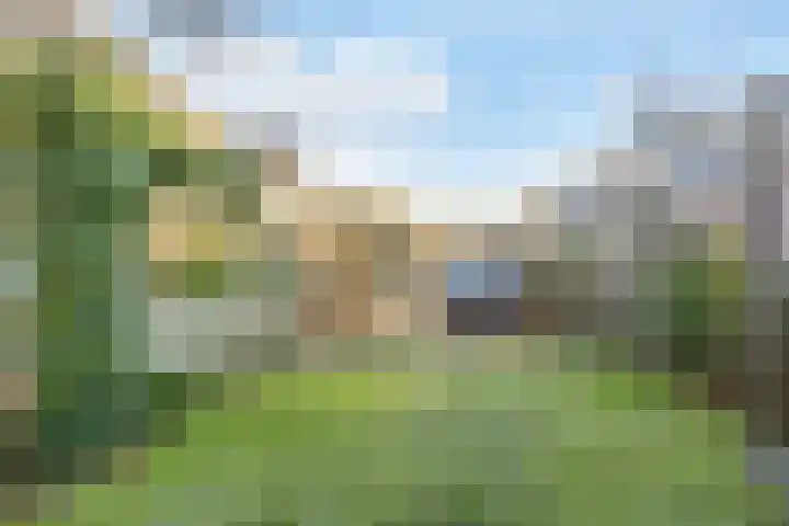 Bosbraam 18 Assen thumbnail 61