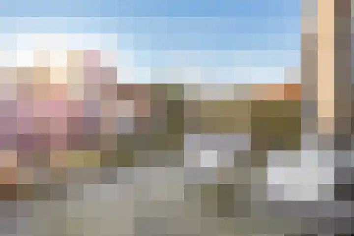 Bosbraam 18 Assen thumbnail 63