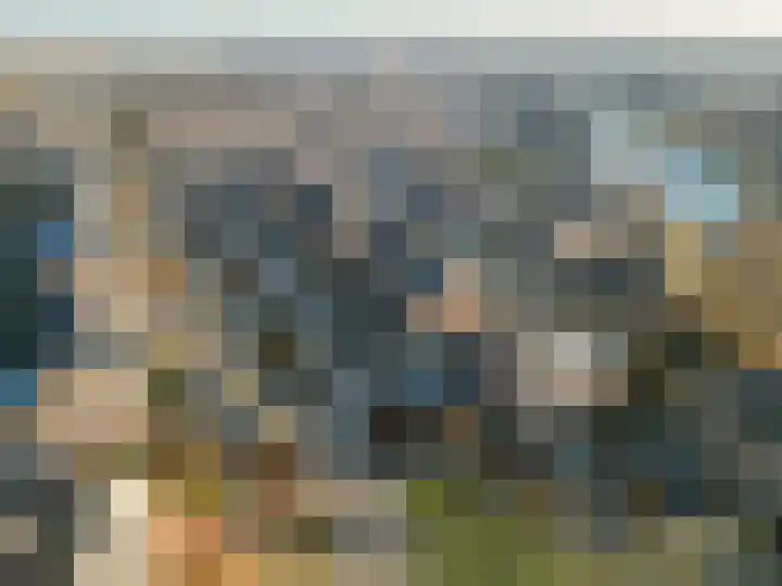 Bosbraam 18 Assen thumbnail 65