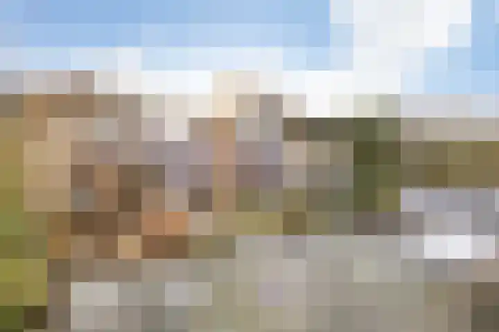 Bosbraam 18 Assen thumbnail 8