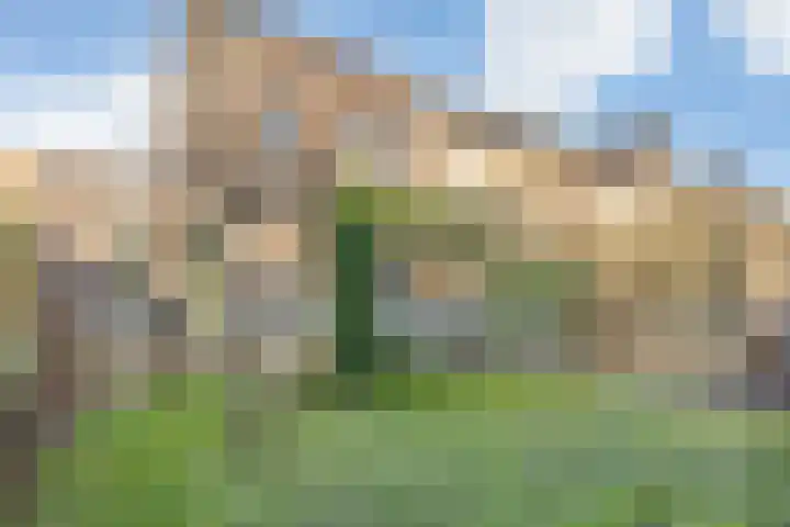Bosbraam 18 Assen thumbnail 9