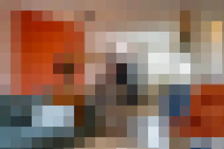 Bosbraam 37 Assen thumbnail 17