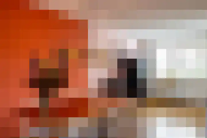 Bosbraam 37 Assen thumbnail 18