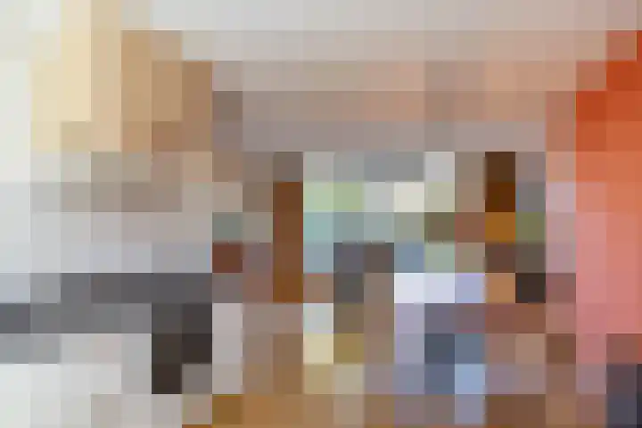 Bosbraam 37 Assen thumbnail 22