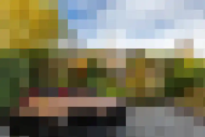 Bosbraam 37 Assen thumbnail 23