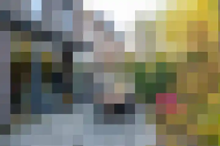 Bosbraam 37 Assen thumbnail 24