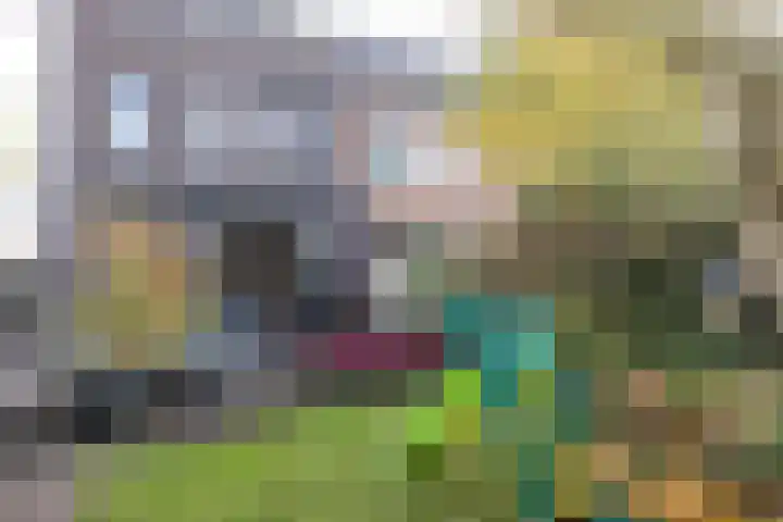 Bosbraam 37 Assen thumbnail 26