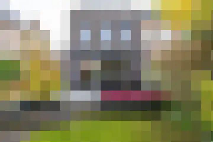 Bosbraam 37 Assen thumbnail 28