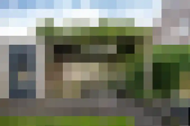 Bosbraam 37 Assen thumbnail 29