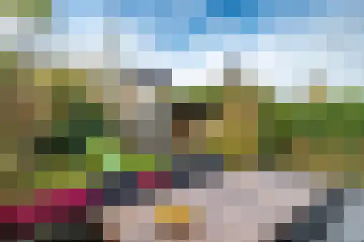 Bosbraam 37 Assen thumbnail 30
